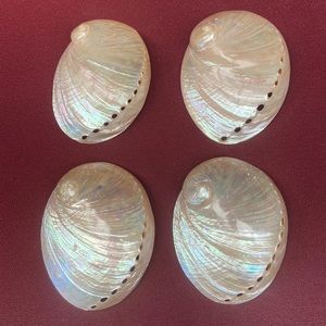 Set of 4 decorative shells